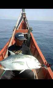 Maybe you would like to learn more about one of these? Bermacam Jenis Ikan Hasil Pancing Mania Di Laut Lancang Steemit