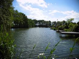 Hier finden sie ihr neues zuhause. Ferienhaus Seerose Haus Am See Vreden Herr Bernd Eberhardt