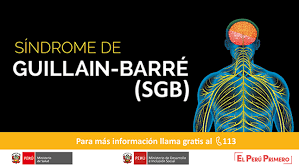 Gbs can range from a very mild case with brief weakness to nearly devastating. Enterate Todo Sobre El Sindrome De Guillain Barre Sgb Gobierno Del Peru