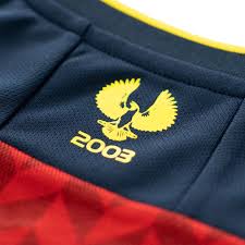 The official adelaide united football. Adelaide United 2020 21 Heimtrikot