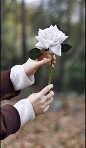 pin by re0o0ry ه م س ات ع اب ر ة on my photo صوري girls with flowers flowery wallpaper hand photography