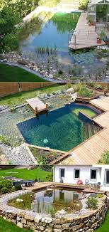 Wonderful Family Natural Swimming Pools Building A Swimming Pool Swimming Pool Designs Natural Swimming Pools