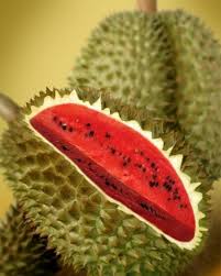 Maybe you would like to learn more about one of these? 17 Cool Durian Designs Ideas Durian Jackfruit Vs Durian Tropical Illustration
