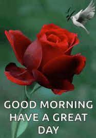 See more ideas about recipes, cooking recipes, lunch. Good Morning Flowers Gifs Tenor