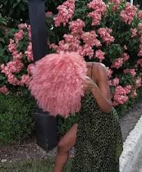 Maybe you would like to learn more about one of these? Destiny Mcintosh Domcintosh02 Profile Pinterest