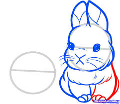 Add a zig zag grass line in the background. How To Draw A Bunny Face How To Draw Baby Rabbits Baby Rabbits Step 5 Baby Drawing Rabbit Drawing Bunny Artwork