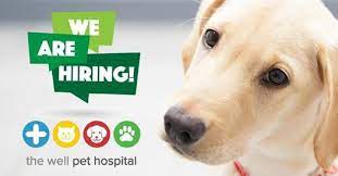 In a sign of the economic 'green shoots' sprouting in. Well Pet Hospital Wellpethospital Twitter