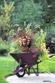 Pin By The Gardener Wife On Flores Del Campo In 2021 Garden Containers Fall Container Gardens Container Gardening Flowers