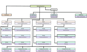 organizational structure of provincial health department