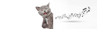 icinde kedi gecen sarkilar