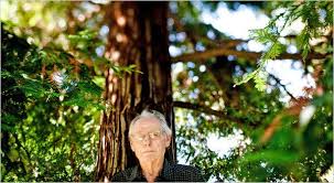 Image result for Interior Cream 1956 Wayne Works