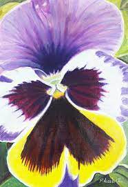 This is a lesson that i have done before here on youtube, but i wanted to make a new and updated version. Francesca Licchelli On Twitter Pansy Acrylic Painting Original Ooak Acrylic On Paper 18 Https T Co En8o4gaccv Wedding List Arylicpainting