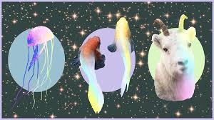The end of january left you cutting away. Horoscopes February 2020 Love And Career Predictions Allure