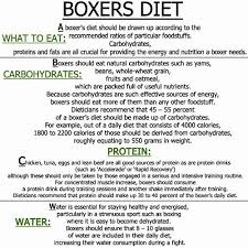 Bethebest3 Boxers Diet Be A Professional Boxer Boxers Diet Workout Diet Plan Professional Boxer