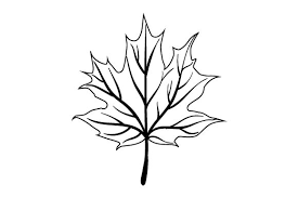 Download Maple Leaf Svg Cut File By Creative Fabrica Crafts Creative Fabrica PSD Mockup Templates