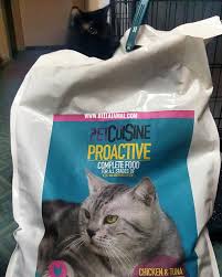 Seperti yang kita ketahui, kucing makanan kucing banyak dijual berupa kalengan ataupun kiloan. Tips Memilih Makanan Kucing Cat Food Ini Adalah Bellarina Natasya