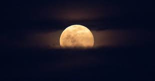 Sevgilim beni̇ sevdi̇ği̇ni̇ söylemi̇şsi̇n yuhyuhyu. Sky Gazers Witness Strawberry Moon Pragativadi