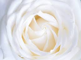 We did not find results for: Colours Of Mourning In Different Cultures Of The World Funeral Guide Australia
