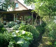 Exotische pflanzen fuer den garten winterhart englischer garten u bahn fahnenmast garten englische steinfiguren garten engl garten muenchen erdkroete im garten. Home Garten Picker