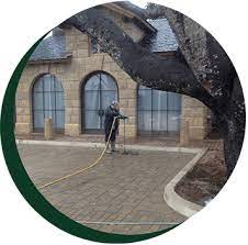 Get directions, reviews and information for santa barbara pest control in santa barbara, ca. Pest Control Company Santa Barbara Ca Santa Barbara Pest Control