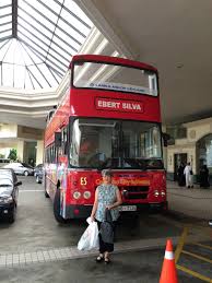 Ann's Big Trip 'Home'