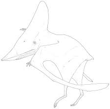 Search through 623,989 free printable colorings at getcolorings. Mega Latios Pokemon Coloring Page Free Coloring Library