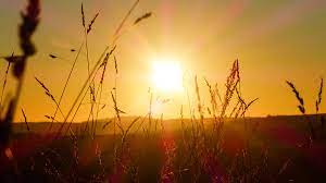 Every year they're near the top of the list of most. Southern Ill Pagan Alliance Celebrates Summer Solstice