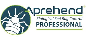Dead Bed Bugs Images – Browse 271 Stock Photos, Vectors, And Video | Adobe  Stock