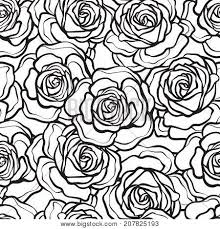 They say the earth laughs in flowers. Rose Flower Seamless Vector Photo Free Trial Bigstock