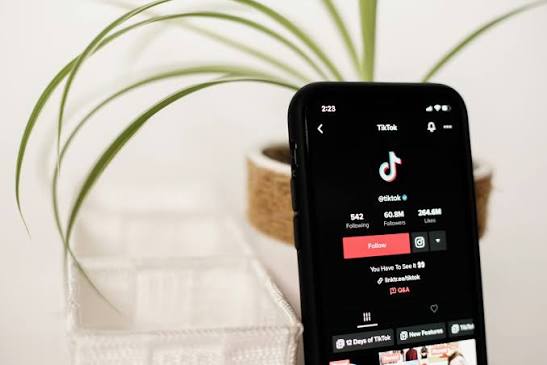 How to Get 1000 Followers on TikTok Fast