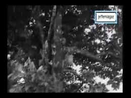 Ost Ali Baba Bujang Lapok 1960 Hoi Ya Hoi Youtube