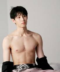 Lou Vav Hot Korean Guys Shirtless Vav