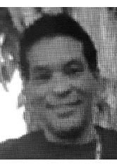 Gregory Levine Obituary (2019)