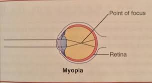 Clinical Procedures 1 Eye Ear Assessment Science