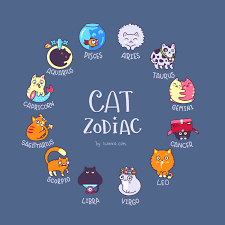 Presenting You A Cat Astrology Chart What Is Your Sign Aries And Aquarius Zodiac Cat Signs