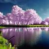Here are only the best 4k nature wallpapers. Https Encrypted Tbn0 Gstatic Com Images Q Tbn And9gctw2dw06tiuluqesye Tjyatw Qyrxgad5amojz0acf Uwj4gc6 Usqp Cau