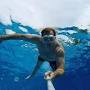 Profile Picture of Craig Saathoff (craigsaathoff) - Profile - Pinterest (@pinterest.com) on Google