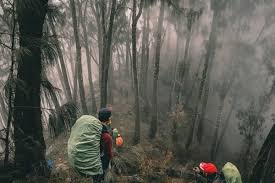 Pulau onrust adalah pulau yang berada di kawasan kep seribu serta letaknya yang bisa dibilang pulau onrust memiliki cerita yang cukup bersejarah untuk indonesia sendiri sehingga membuat. 10 Gunung Api Aktif Yang Angker Di Pulau Jawa