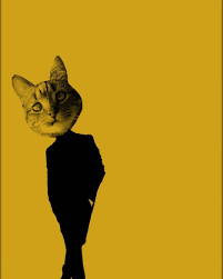 Eski Kulagi Kesiklerden Cat Cats Catsofinstagram Instagram Insta Kedi Picsart Picsoftheday Eski Kulag Forex Trading Strategies Trading Strategies Cats