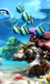 Download underwater live wallpaper apk 1.0.3 for android. Underwater World Live Wallpaper Theme 1 0 Free Download Apk For Android