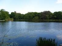 Prospect Park Lake Cleanup