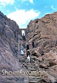 Mount Sinai Moses Mountain Excursion From Sharm