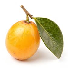 Image result for Ximenia