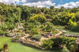 The 10 Best Things To Do Near San Antonio Botanical Garden Tripadvisor