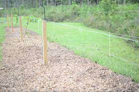 Building a small water garden. How To Build A Grape Trellis The Kitchen Garten