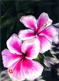 Hibiscus Flowers Pink Bright Hawaiian Tropical Commission I Accepted To Do By Laura Bell Flower Painting Tropical Flower Tattoos Hibiscus Flowers