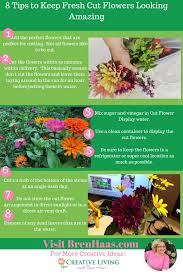 How to keep cut flowers fresh. How To Keep Fresh Cut Flowers Looking Amazing Longer Bren Haas