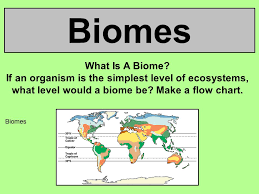 Biomes What Is A Biome If An Organism Is The Simplest Level