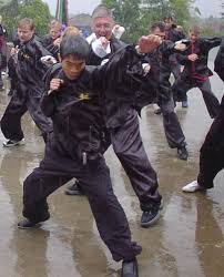 Nothing Stops Choy Lee Fut Boevye Iskusstva Iskusstvo