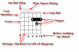 Chord Diagram How To Read Chord Diagrams